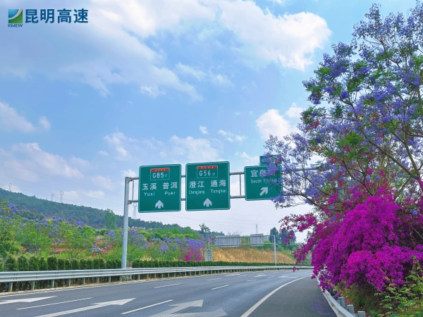 圖三